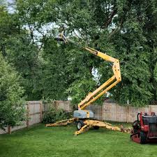 Best Seasonal Cleanup (Spring/Fall)  in Anaheim, CA