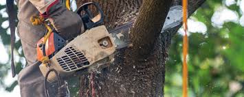 Soil Testing and Treatment in Anaheim, CA