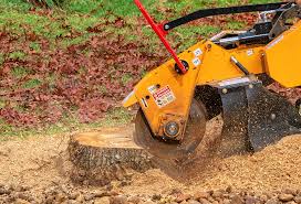 Best Utility Line Clearance  in Anaheim, CA